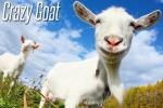 iOS игра Сумасшедшая коза / Crazy goat