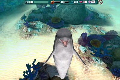 IOS игра Dolphin paradise: Wild friends. Скриншоты к игре Дельфиний рай. Дикие друзья