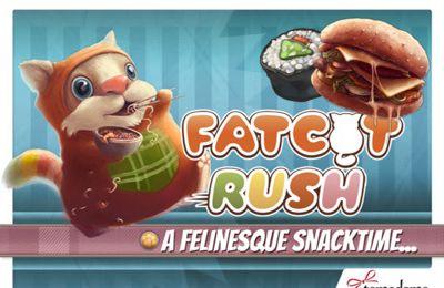 IOS игра Fatcat Rush. Скриншоты к игре Обжорливый Котик