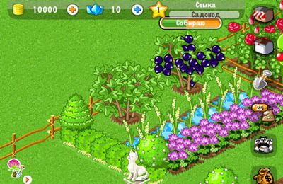 IOS игра Funny farm. Скриншоты к игре Весёлая усадьба