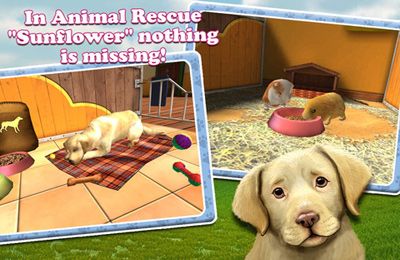 IOS игра PetWorld 3D: My Animal Rescue. Скриншоты к игре Питомник 3D
